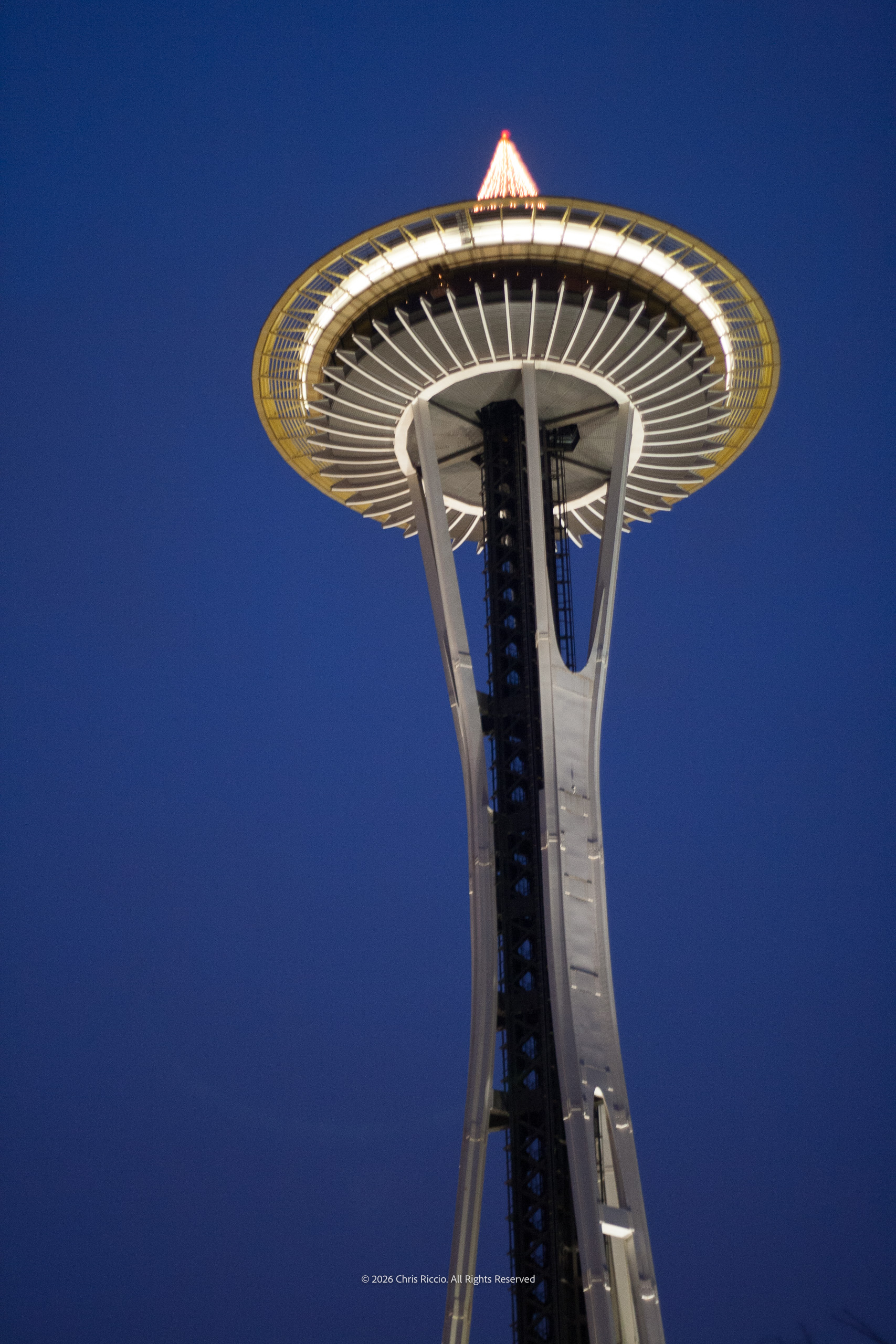 Winter Evening Needle